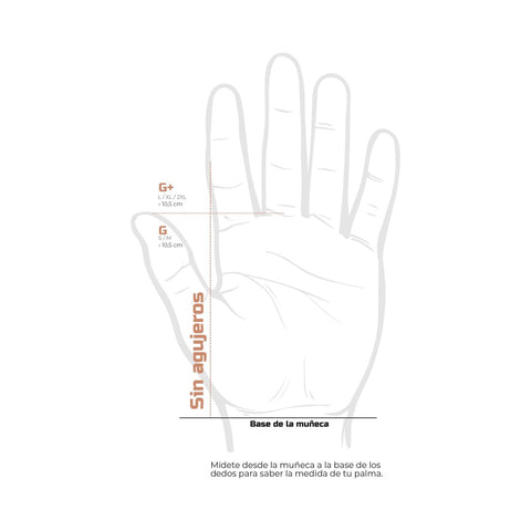 Paracalli Picsil Condor