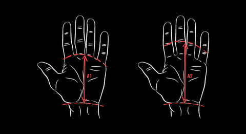 Paracalli Stamina Zero Full Cover